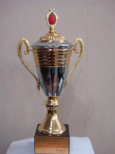 第五項(xiàng)目部榮譽(yù)